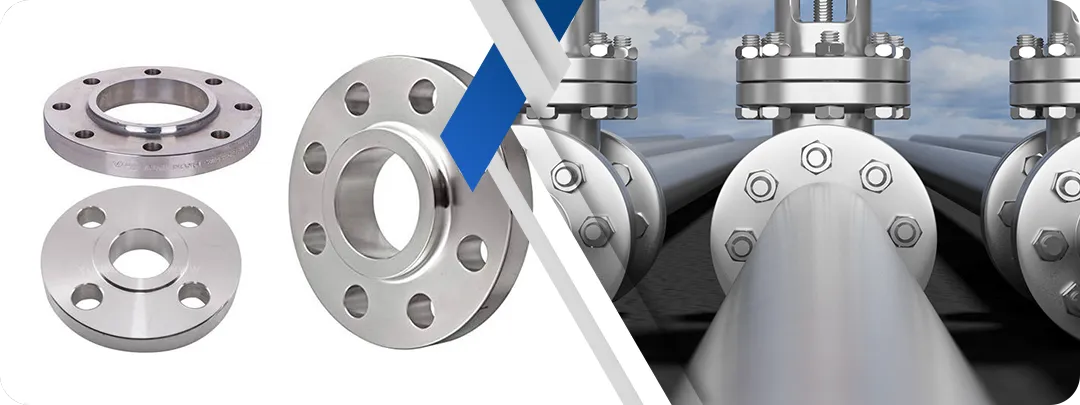 Hastelloy C4 Flanges